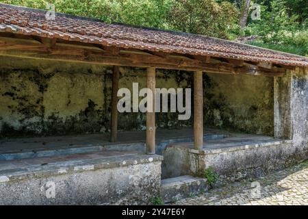 Pena National Park surrounding the Pena Palace in the parish of São Pedro de Penaferrim in the city of Sintra, Portugal, Europe Stock Photo