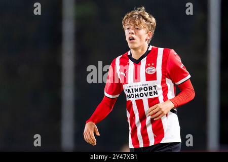 Eindhoven, Netherlands. 16th Sep, 2024. EINDHOVEN, NETHERLANDS - SEPTEMBER 16: Nicolas Verkooijen of Jong PSV during the Dutch Keuken Kampioen Divisie match between Jong PSV and ADO Den Haag at PSV Campus de Herdgang on September 16, 2024 in Eindhoven, Netherlands. (Photo by Joris Verwijst/Orange Pictures) Credit: dpa/Alamy Live News Stock Photo