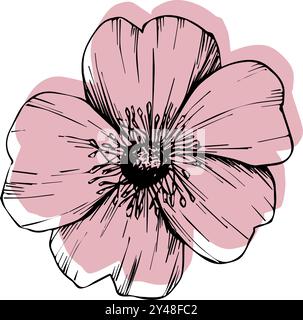 Rose hip, dog-rose. Wild rose flowers, medicinal herb line art drawing. Outline vector illustration isolated on white background. sketch for logo Stock Vector