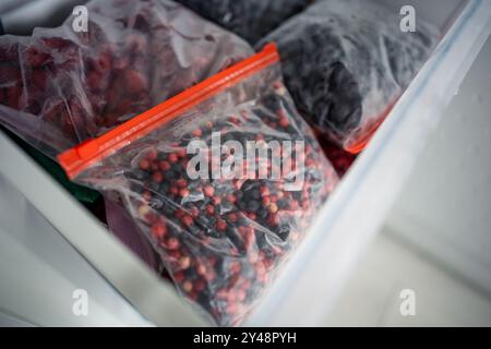 Lingonberries, blueberries, sea buckthorn, cranberries frozen for winter in bags. Freezer with food  Stock Photo