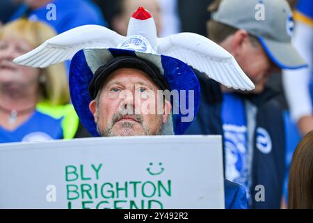 Brighton fan wearing a Seagull hat  during the Premier League match between Brighton and Hove Albion and Ipswich Town at the American Express Stadium  , Brighton , UK - 14th September 2024. Photo Simon Dack / Telephoto images   Editorial use only. No merchandising. For Football images FA and Premier League restrictions apply inc. no internet/mobile usage without FAPL license - for details contact Football Dataco Stock Photo