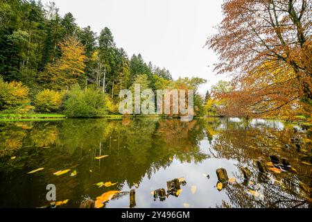 Landscape at the forest lake near Haslach in the Kinzigtal. Nature in autumn by the lake. Stock Photo