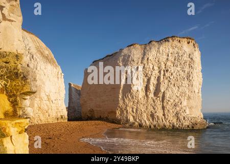 England, Kent, Broadstairs, Botany Bay Beach, Chalk Cliffs Stacks Stock Photo