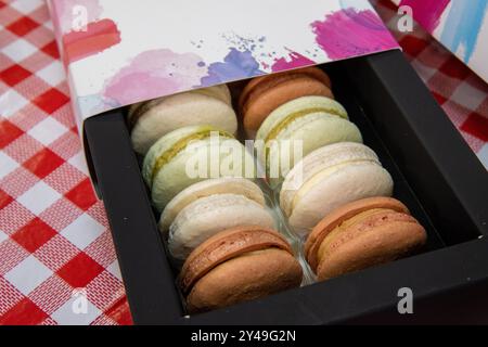 A delicious trey of colourful sweet Macaroons Stock Photo
