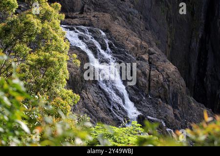 View of Barron Falls waterfall surrounded by rocks and trees in Barron Gorge National Park near Kuranda in Far North Queensland, Australia Stock Photo