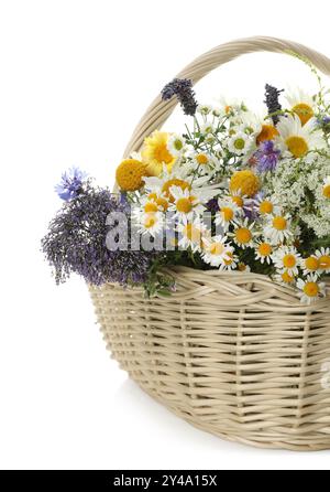 Beautiful wildflowers in wicker basket on field background Stock Photo ...