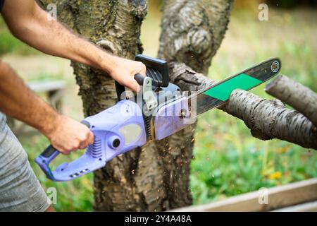 Close-up of man cutting trees using electrical chainsaw in motion at backyard home Stock Photo