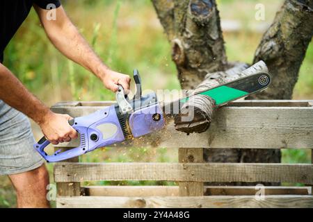 Close-up of man cutting trees using electrical chainsaw in motion at backyard home Stock Photo
