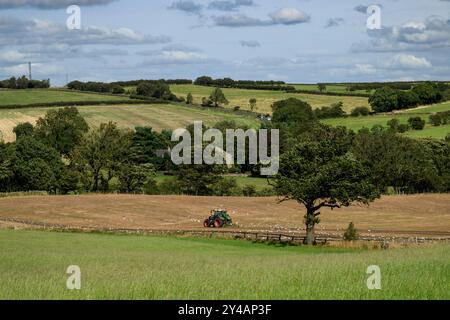 Green & red Fendt tractor working, preparing land (scenic countryside, surface tillage, soil management, gulls feeding) - North Yorkshire, England UK. Stock Photo