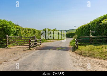 A cattle grid on Withypool Hill in the Exmoor National Park, Somerset, England. Stock Photo