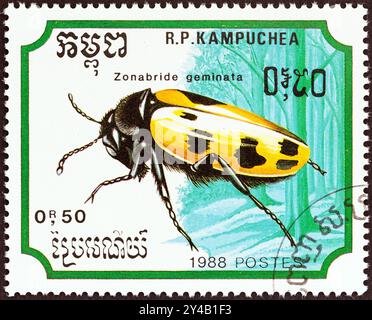 KAMPUCHEA - CIRCA 1988: A stamp printed in Kampuchea from the 'Insects' issue shows Blister Beetle (Zonabride geminata) Stock Photo