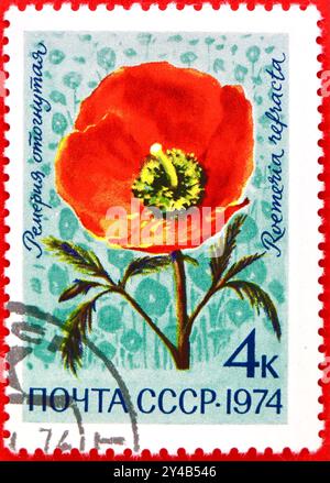 Photo of a 4 Russian Kopeks postage stamp illustration of a Roemeria flower Roemeria refracta Flowers of Alpine Meadows of Central Asia series 1974 Stock Photo