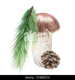 Porcini mushroom, pine branch and a pine cone watercolor composition isolated on white. High quality hand painted plant design element perfect for car Stock Photo