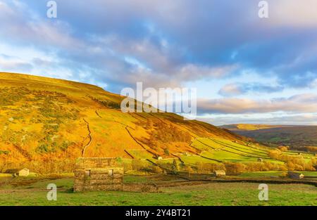 Swaledale in Winter as the sun begins to set over the high sweeping fells, green fields and stone barns or cow houses.  Yorkshire Dales, UK. Space for Stock Photo