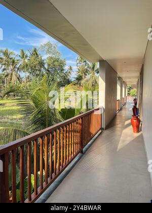 Picturesque view from balcony to palm trees and rice fields on a sunny day in Bali Stock Photo