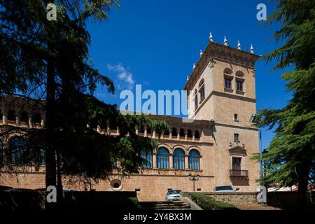 A view of the Palacio de los Condes de GÃ³mara in Soria, Spain, a historic building with a tall tower and arched windows. Stock Photo