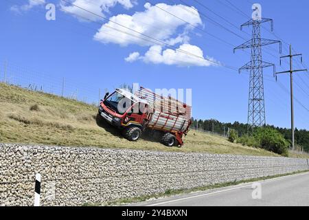 Symbolic photo of agriculture and electricity pylons Stock Photo