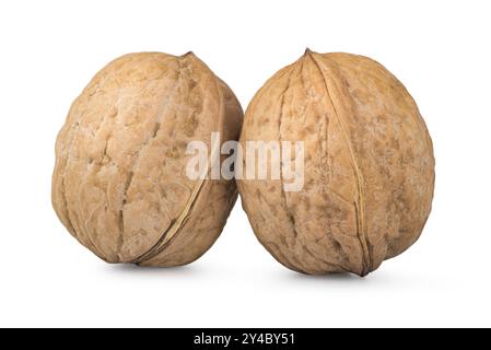 Two whole walnuts isolated on a white background Stock Photo