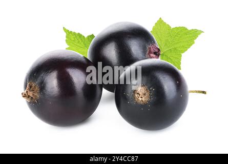 Juicy black currant isolated on a white background Stock Photo