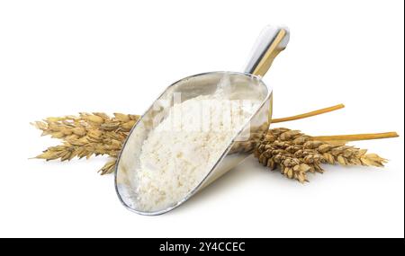 Flour in scoop and spikelets of wheat isolated on a white background Stock Photo