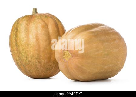 Two orange pumpkins isolated on a white background Stock Photo