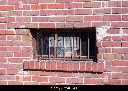 Antique door with sidelights with broken or missing glass panes Stock Photo