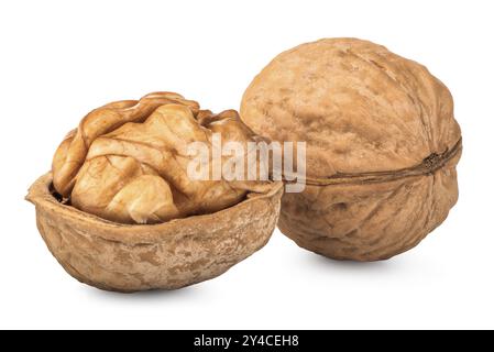 Walnuts close up isolated on a white background Stock Photo