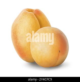 Two ripe apricots isolated on a white background Stock Photo