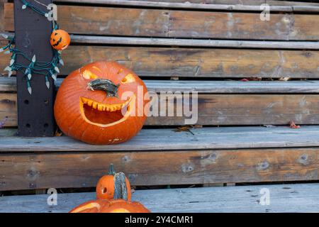 Fall decorations for Halloween holiday. Carved pumpkin on outdoor wooden stairs. Copy space Stock Photo