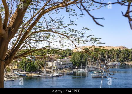 View of the boats on river Nile in Aswan, Egypt, Africa Stock Photo