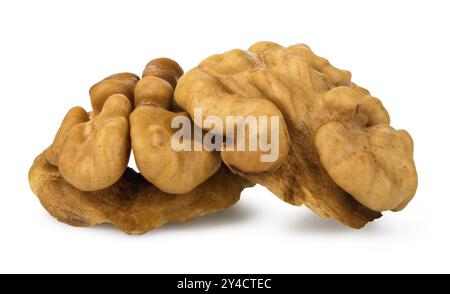 Two peeled walnuts isolated on a white background Stock Photo