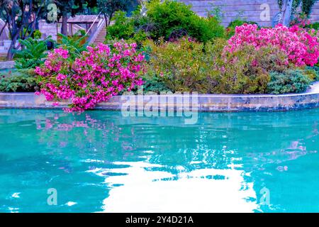 Moment of Evening. Baku, Azerbaijan. Stock Photo