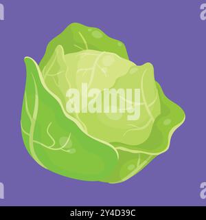 Fresh cabbage with green leaves. Cabbage vegetable icons vector. cabbage illustration. Stock Vector