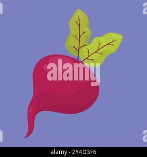 beetroot vegetable or radish with leaves. beetroot icon vector. Stock Vector