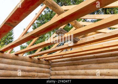 Log house is under construction. New wooden house without roof is made of uncolored natural pine tree logs and boards, background photo Stock Photo