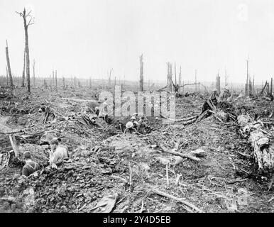 BATTLE OF THE SOMME July-November 1916. British soldiers digging a trench through  Delville Wood on 13 July 1916. Photo by  2nd  Lieutenant John Warwick Brooke  (1886-1929) Stock Photo