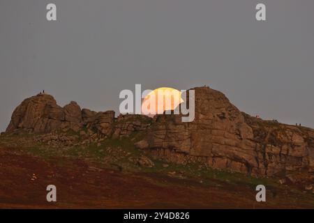 Dartmoor, Devon, UK. 17th Sep, 2024. Full Harvest Supermoon shines bright over Hay Tor on Dartmoor, Devon, UK. The September full Moon is often called the Harvest Moon due to its association with autumn harvests in the Northern Hemisphere.  Credit: nidpor/Alamy Live News Stock Photo