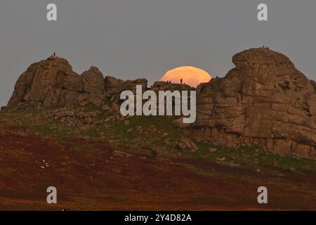 Dartmoor, Devon, UK. 17th Sep, 2024. Full Harvest Supermoon shines bright over Hay Tor on Dartmoor, Devon, UK. The September full Moon is often called the Harvest Moon due to its association with autumn harvests in the Northern Hemisphere.  Credit: nidpor/Alamy Live News Stock Photo