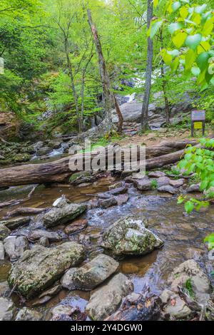 Cumberland Falls State Park in Catoctin Mountains in Maryland. Stock Photo