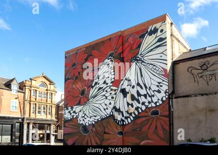 Two Whites wall mural painting by artist Frank Styles high street sunniside sunderland tyne and wear uk two white butterflies Stock Photo