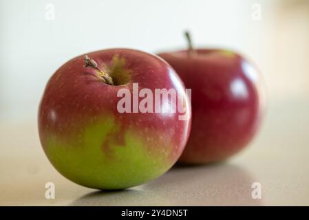 Two red apples freshly harvested during the month of september Stock Photo