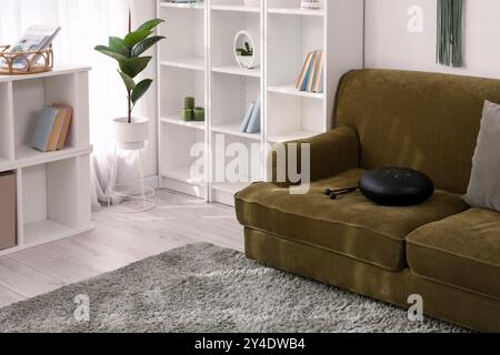 Interior of living room with glucophone on green sofa Stock Photo