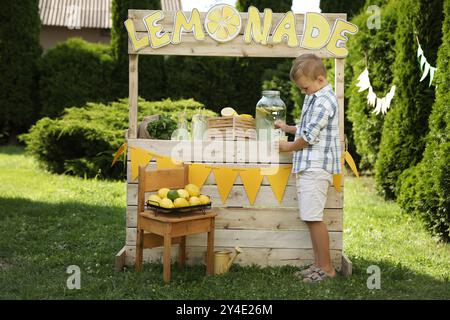 Cute boy pouring refreshing lemonade into paper cup in park Stock Photo