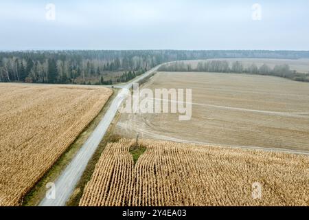 rural landscape with dirt road among wheat fields and plowed field on cloudy autumn day. aerial view. Stock Photo