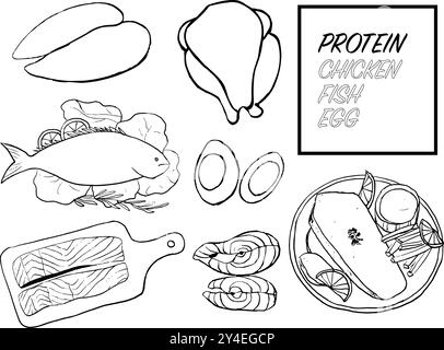 set of fish, chicken and eggs doodles, hand drawn illustration of poultry and fish Stock Vector