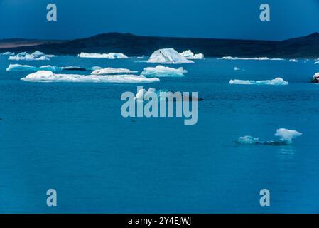 The Jokulsarlon glacier lagoon full of icbergs is located in the south-east of Iceland The Jokulsarlon is located south of Vatnajökull, the largest gl Stock Photo