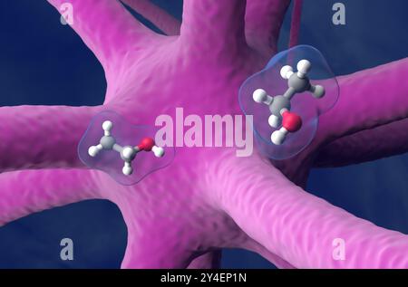 Ethanol (ethyl alcohol) in nervous system - closeup view 3d illustration Stock Photo