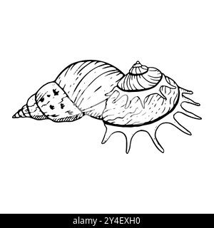 Spiral seashells black and white mollusk snail Stock Vector