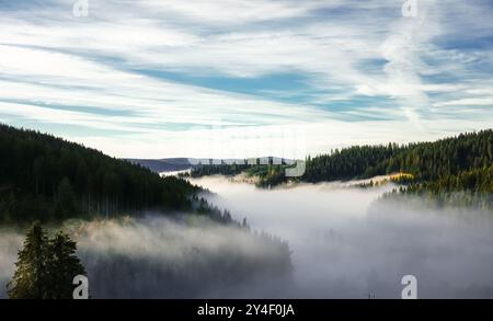 Autumnal landscape in the Black Forest. Nature in the morning with low lying clouds in the valley. Stock Photo