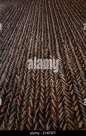 Round stones in the ground. Texture of the cobblestones. Paved road. The paving stones. Abstract background Stock Photo